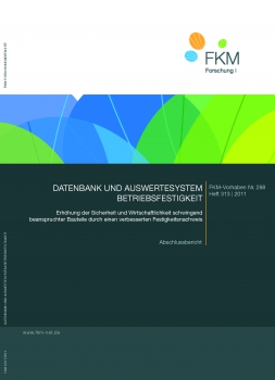 Datenbank und Auswertesystem Betriebsfestigkeit